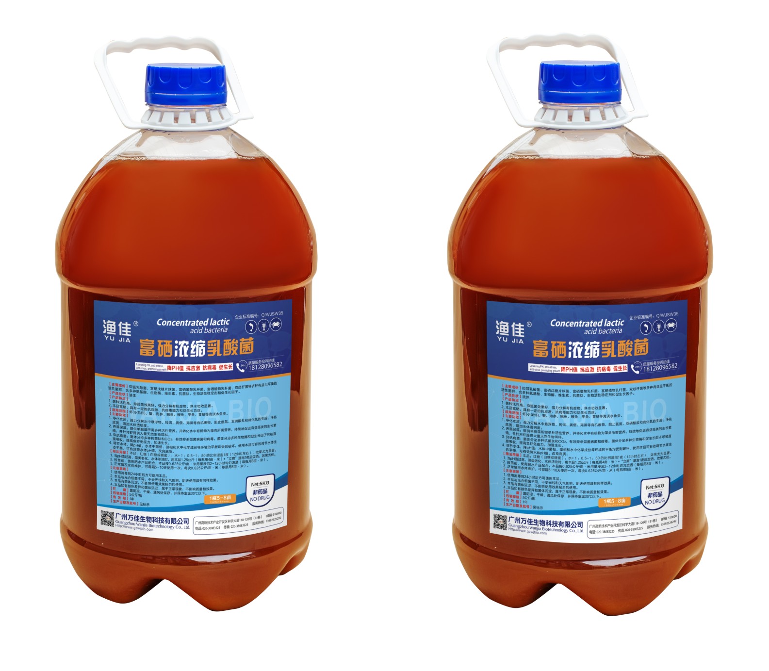 富硒濃縮乳酸菌