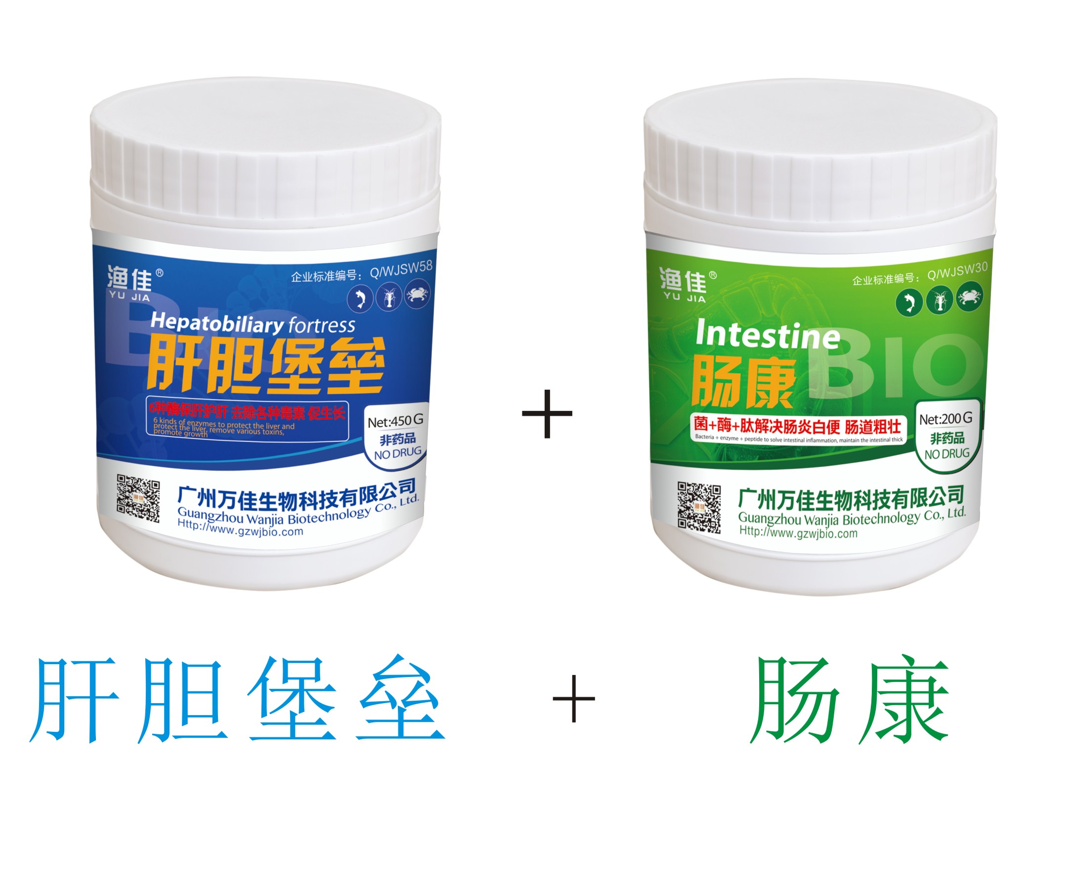 菌+酶+肽 保肝護(hù)腸！